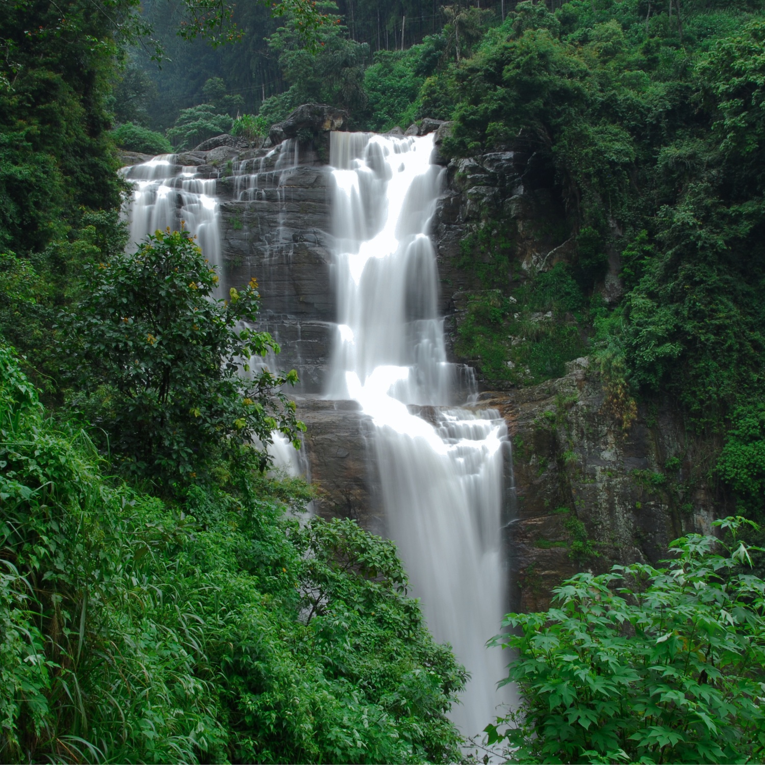 Nuwara Eliya